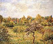 Camille Pissarro The apple trees on the lawn oil on canvas